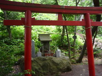 気持ちのいい朝