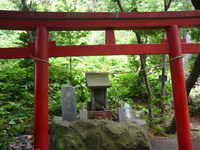 黄金伝説　お先に～☆☆☆