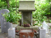 黄金伝説　お先に～☆☆☆