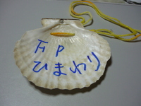 伊豆の温かさに包まれて