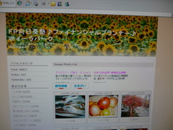 ＦＰひまわり