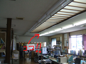 お客様・・・。