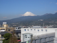 屋根の上から