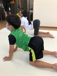 小学生、姉弟のストレッチ&体幹トレーニング 2020/05/30 14:42:31