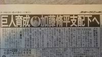 巨人で頑張っている加藤脩平君やりました 2019/06/10 10:41:13