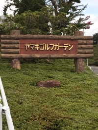 体験施術会を行います 2018/08/04 10:43:02