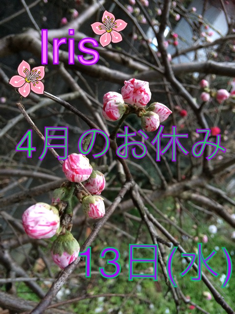 4月のお休み
