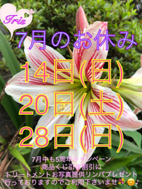 Ｉｒｉｓ７月❤ 2019/07/01 07:23:30