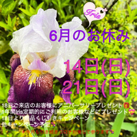 6月のIris情報