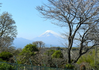 2013年05月09日