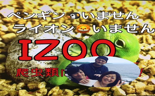 伊豆　北川温泉　星ホテル  おいしいテレビ♪