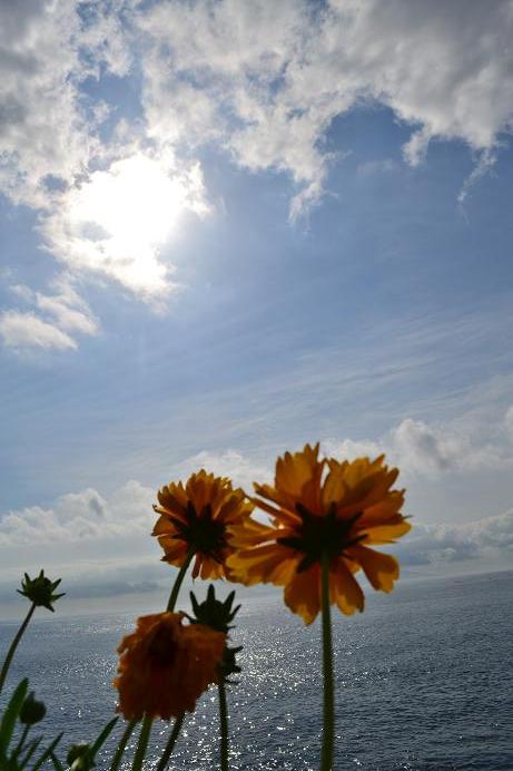 今日の海　５月１３日