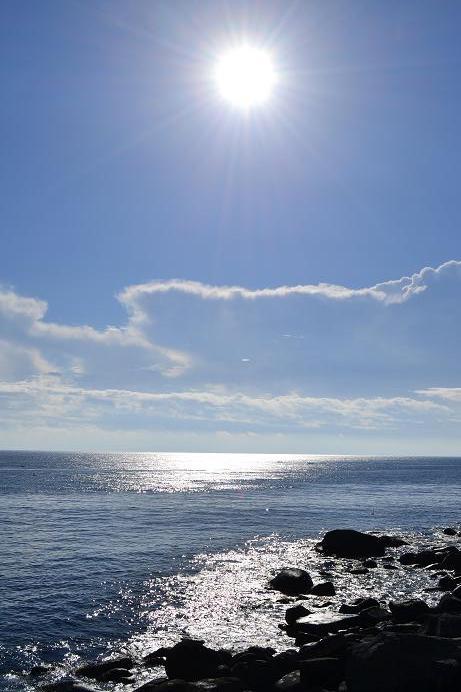 伊豆　北川温泉　星ホテル 