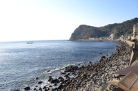 移動手段はいろいろですがお越しいただくお客様のご要望に沿いたいと常に思っています！　今日の伊豆の海　３月１２日
