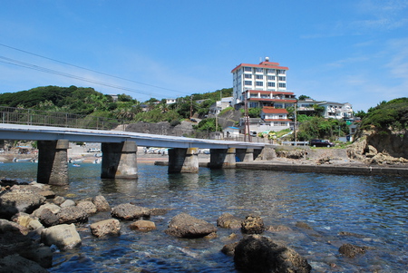須崎の海の熱帯魚。