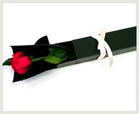 「ごめんなさい」を意味するお花の本数