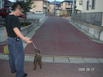 お散歩