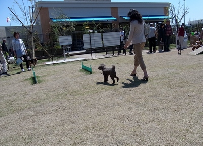 行って来ましたNEOPASA!!!