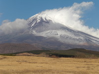 2011年　　12月　31日　土曜日