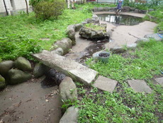 沼津市池の防水塗装