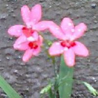 2007年05月09日