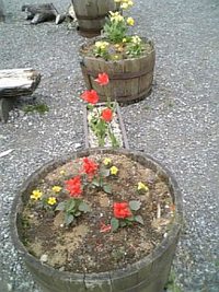 2007年05月05日