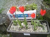 2007年05月05日