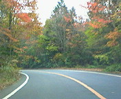 2008年11月05日