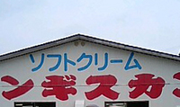 遅！鯉ﾉﾎﾞﾘ