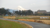 2012年01月24日