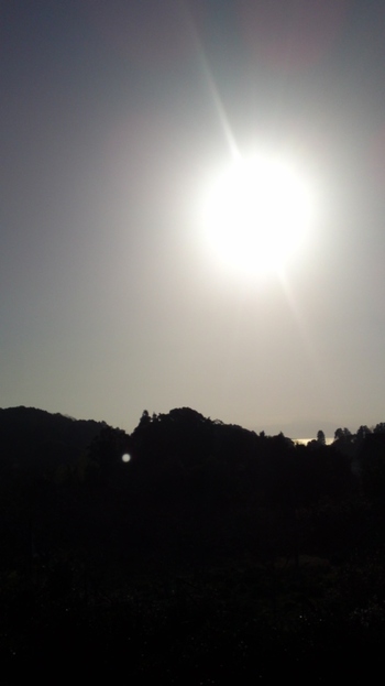 今日の朝日