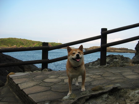 爪木崎遊歩道