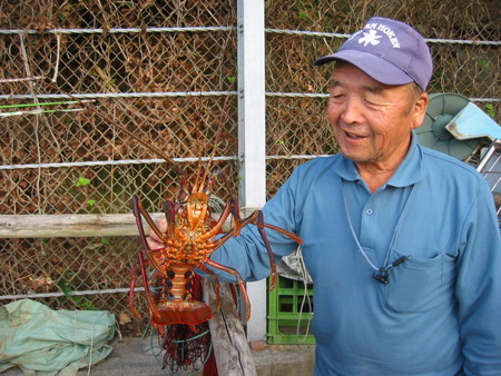 伊勢海老、ゲット