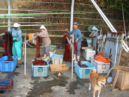 網干し