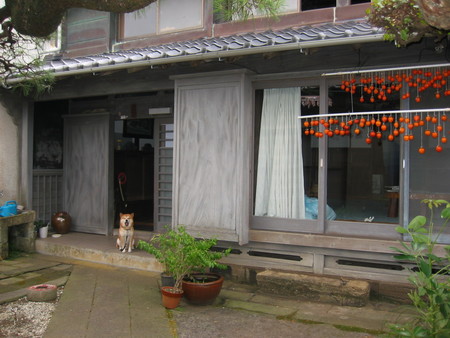 朝のお散歩