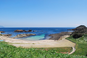 爪木の海