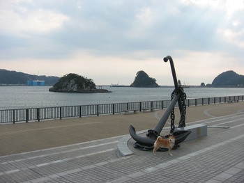 龍馬と下田港