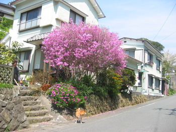 下田の龍馬伝