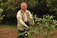 夏野菜の終わり。