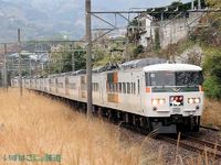 伊東線普通列車にも充当！185系OM編成の週末
