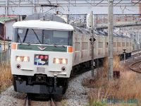 伊東線普通列車にも充当！185系OM編成の週末