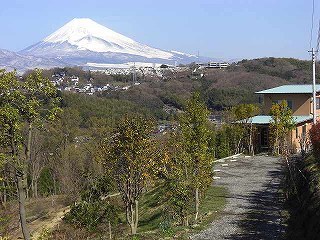 富士山一望！オープンガーデンカフェのビブラビブレ
