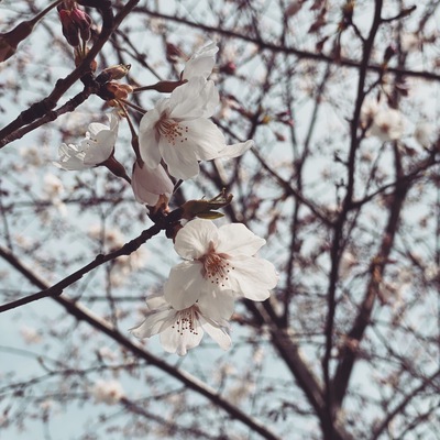 春