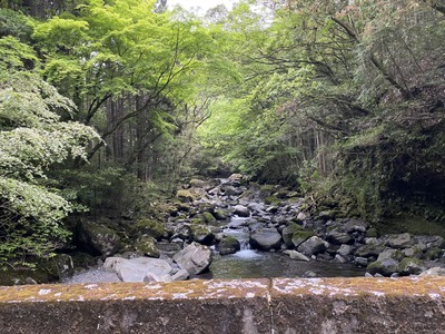 お散歩