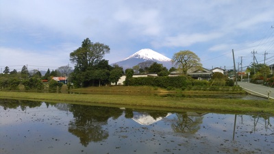 予約状況、寒波来襲、コロナ感染警報、