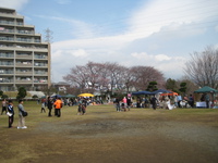 ✿上岩崎公園さくら祭り✿
