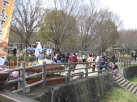 ✿上岩崎公園さくら祭り✿