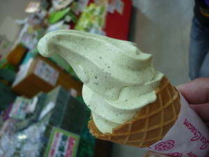 蔵屋鳴沢　茶摘体験！