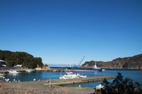宇久須港の朝２月７日