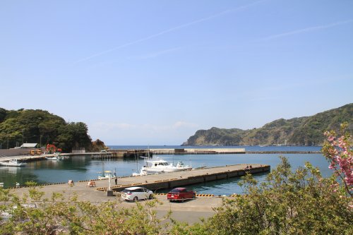 宇久須港の朝４月１３日